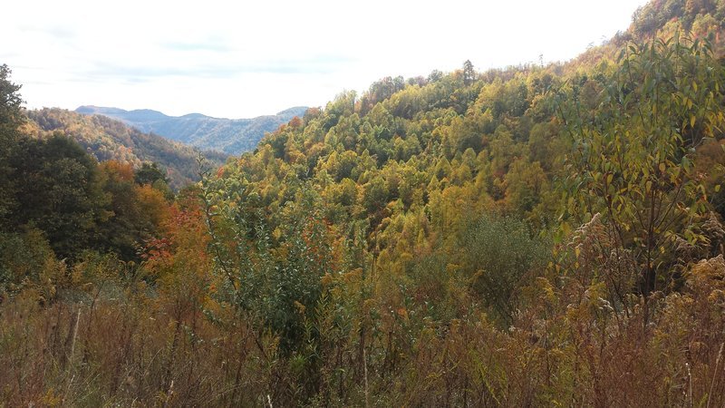 20161022_135653.jpg