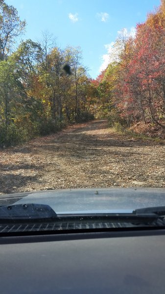 20161022_151355.jpg