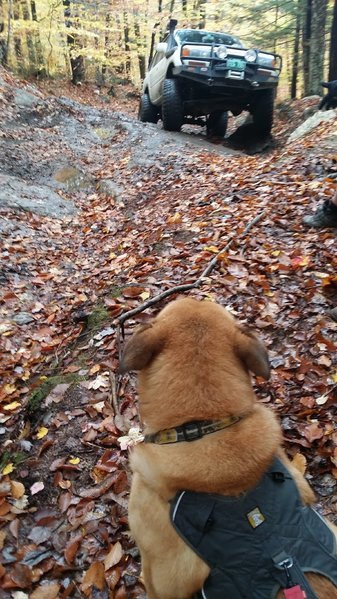 20161023_101625.jpg