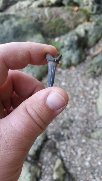 20161023_151041.jpg