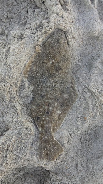 20161023_174459.jpg