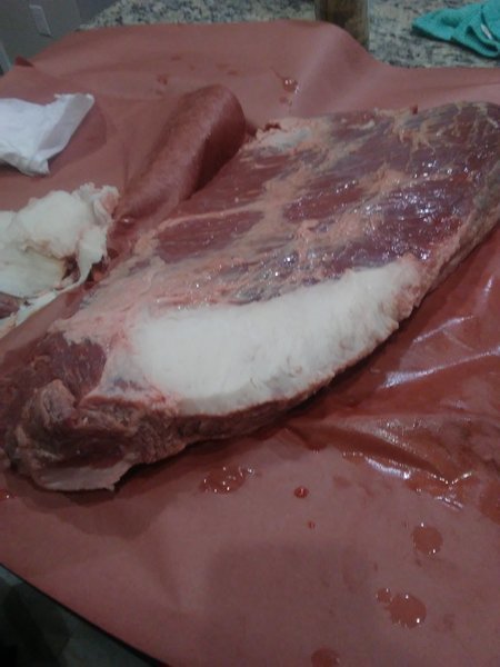 20161029_100506.jpg