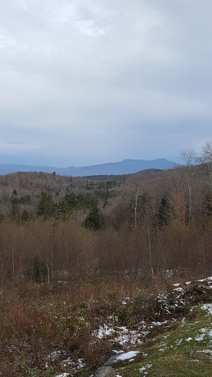 20161029_104440.jpg