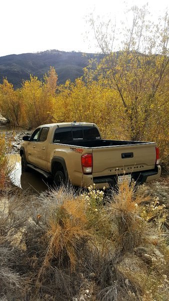 20161030_093422.jpg