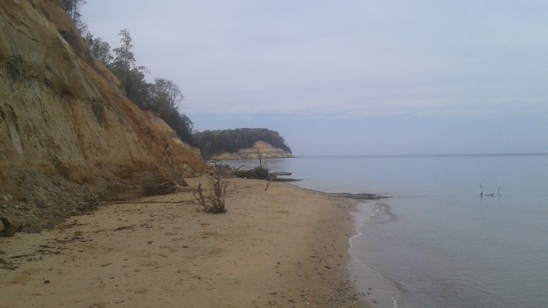 20161030_124736.jpg