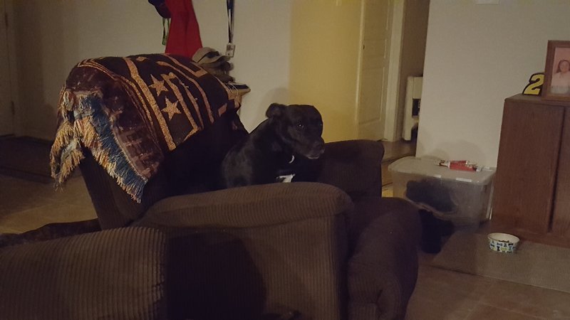 20161103_202104.jpg