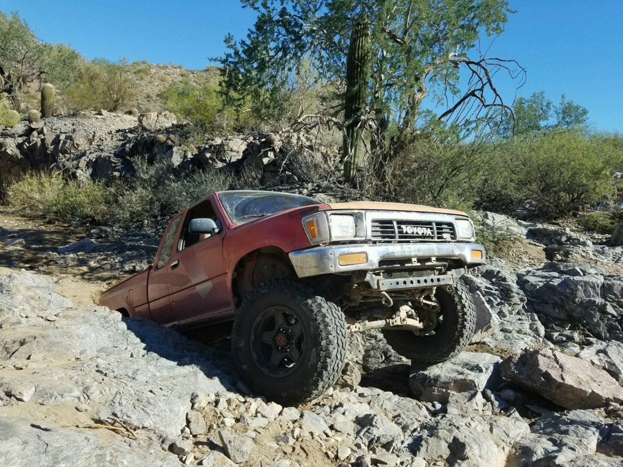20161106_104413.jpg