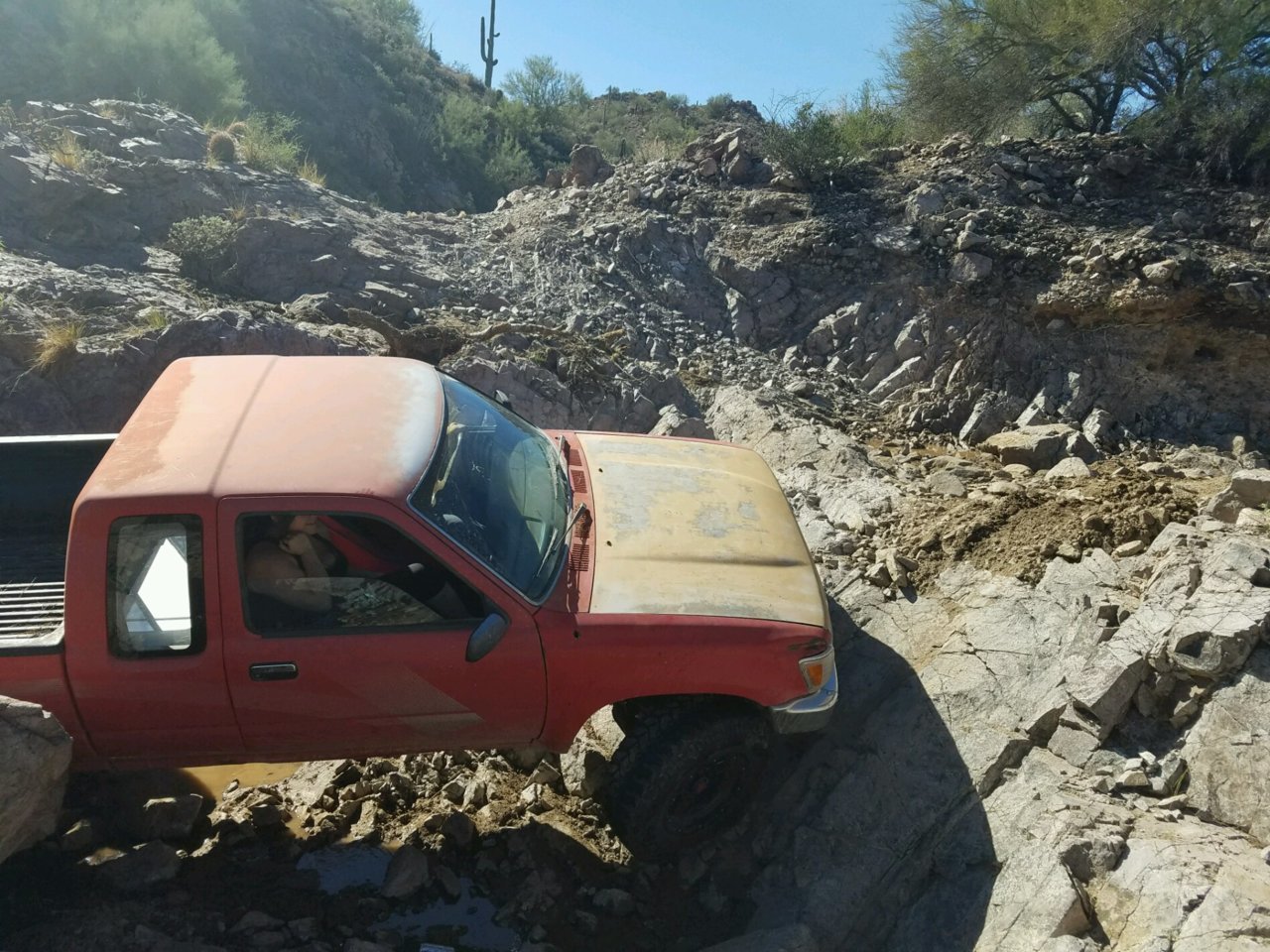 20161106_113355.jpg