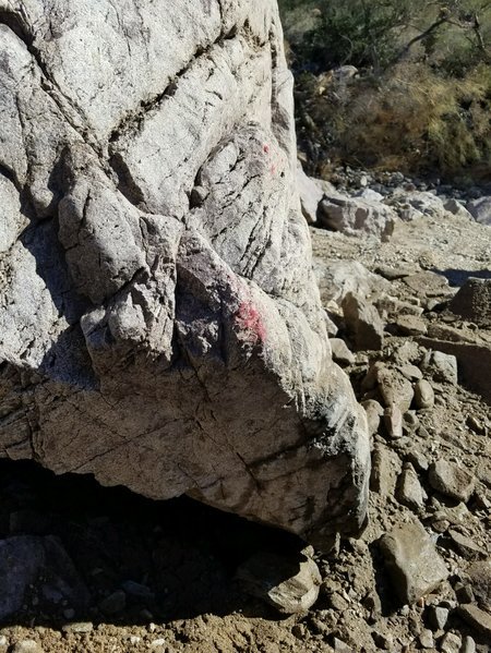 20161106_114749.jpg