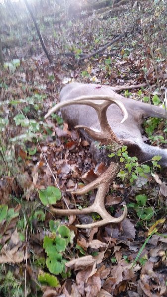 20161107_082234.jpg
