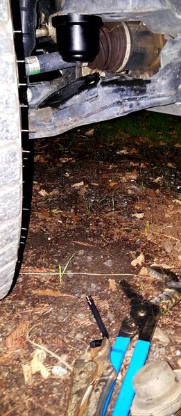 20161107_182049.jpg
