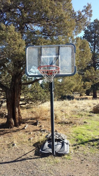 20161110_120659.jpg