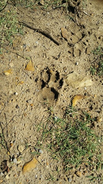 20161110_121707.jpg