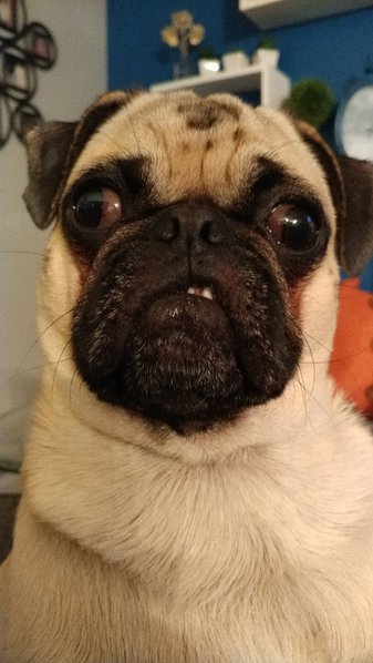20161111_190831.jpg