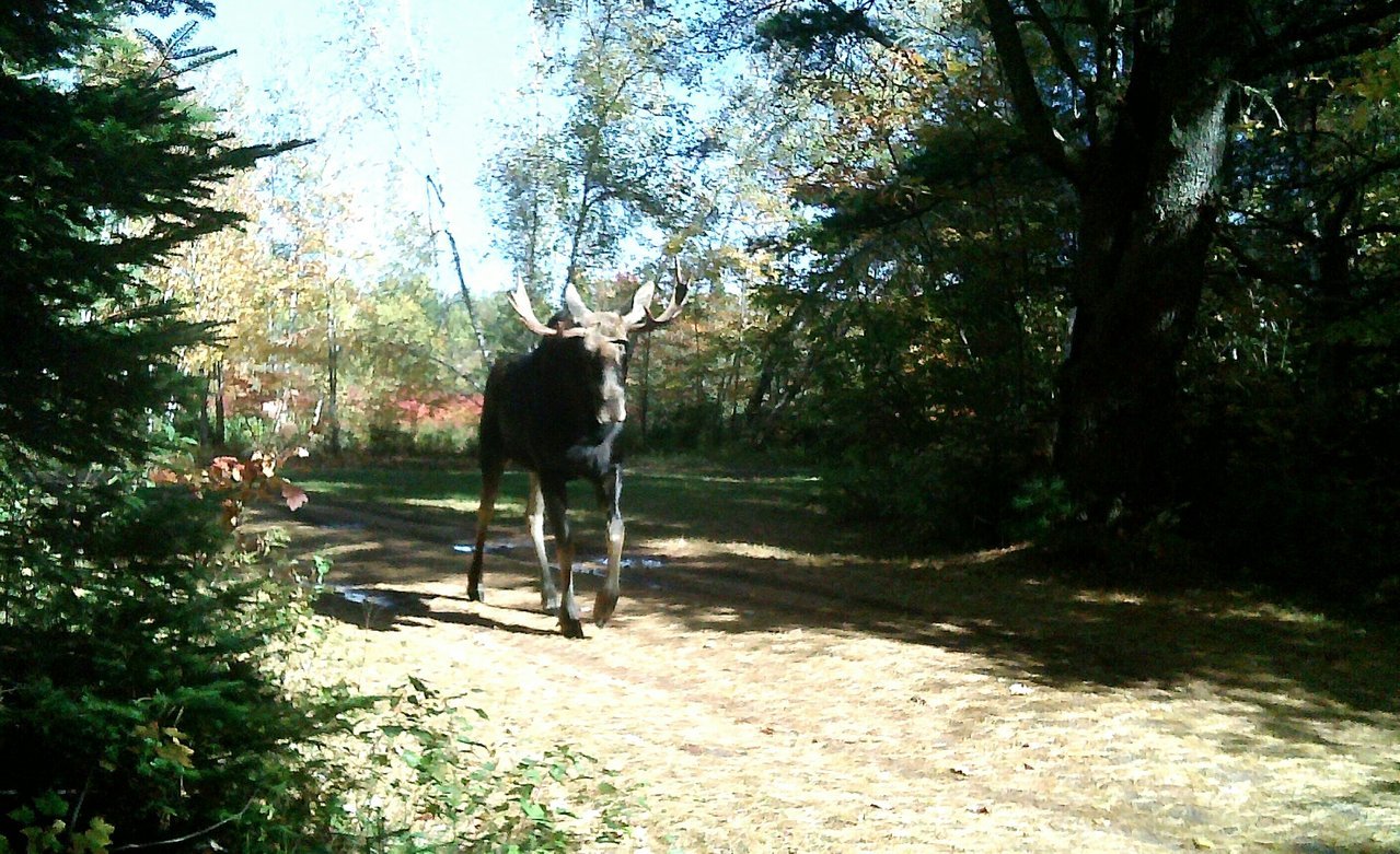 20161112_165843.jpg