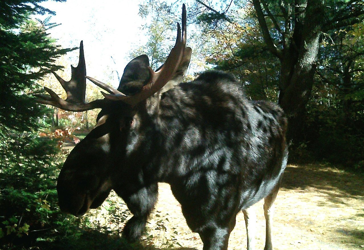 20161112_165859.jpg