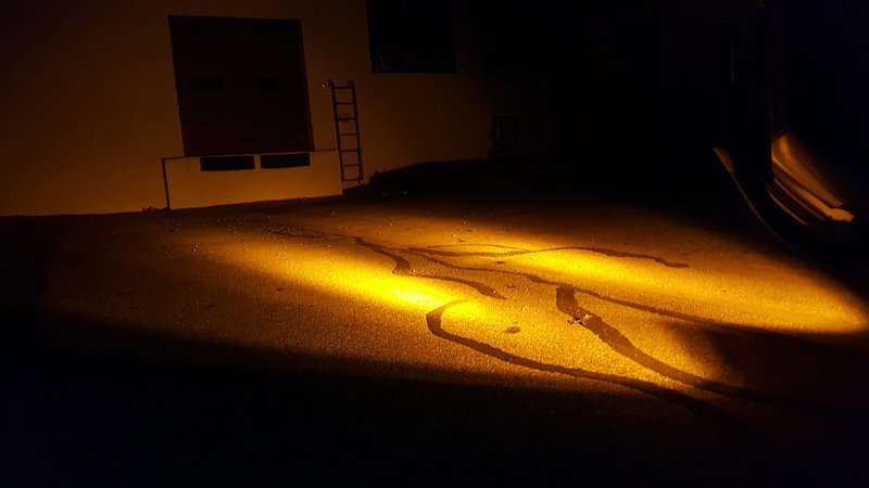 20161114_185123.jpg