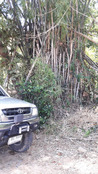 20161118_125757.jpg