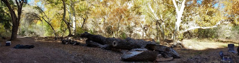 20161119_111917.jpg
