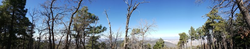 20161119_115743.jpg