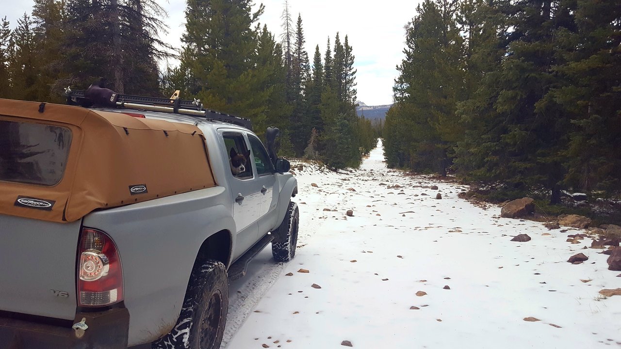20161120_114714.jpg