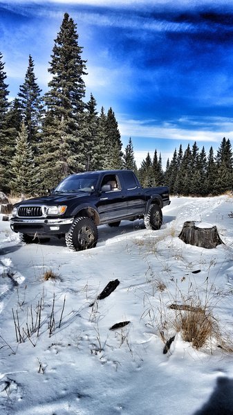 20161124_110721-01.jpg