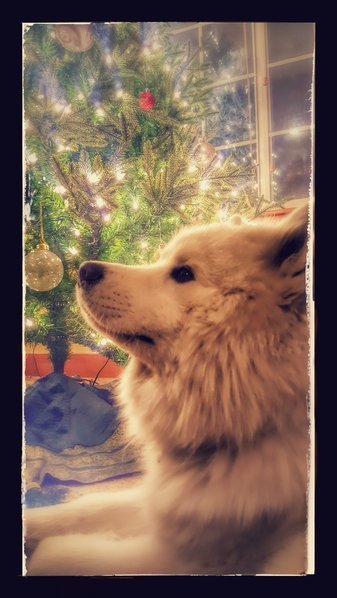 20161126_185227-EFFECTS.jpg