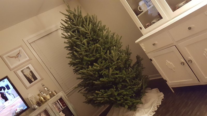 20161130_200028.jpg