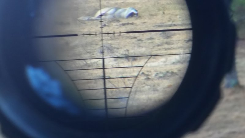20161201_070651_HDR.jpg