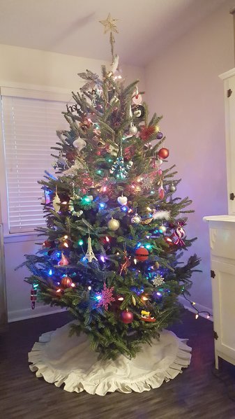 20161203_165215.jpg