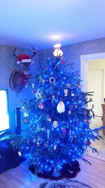 20161203_183003.jpg