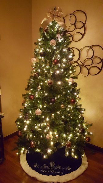20161205_214922.jpg