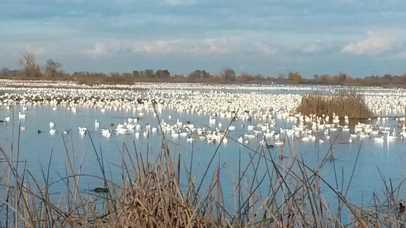 20161206_143704.jpg