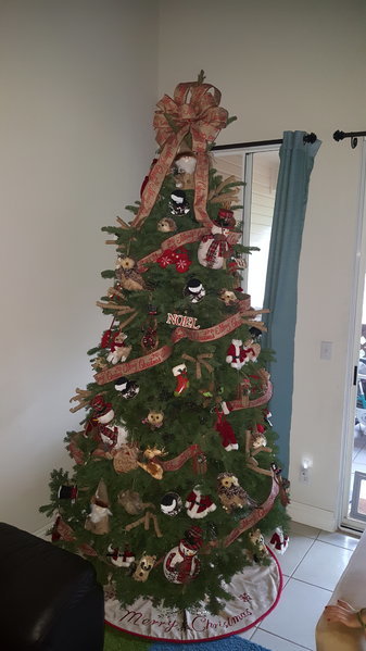 20161206_171244.jpg