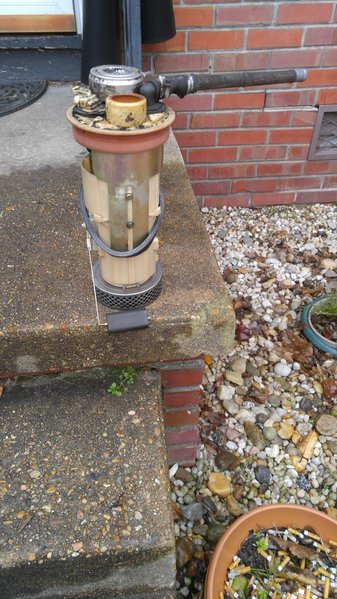 20161208_115207.jpg