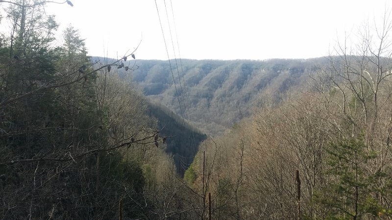 20161208_124217.jpg