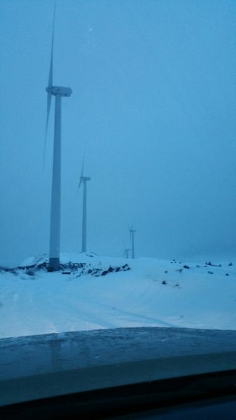 20161209_092404.jpg