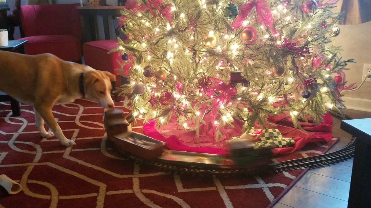 20161209_162320.jpg