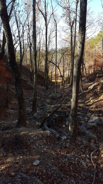 20161210_125730.jpg