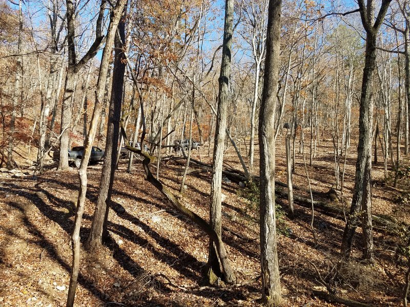20161210_131149.jpg