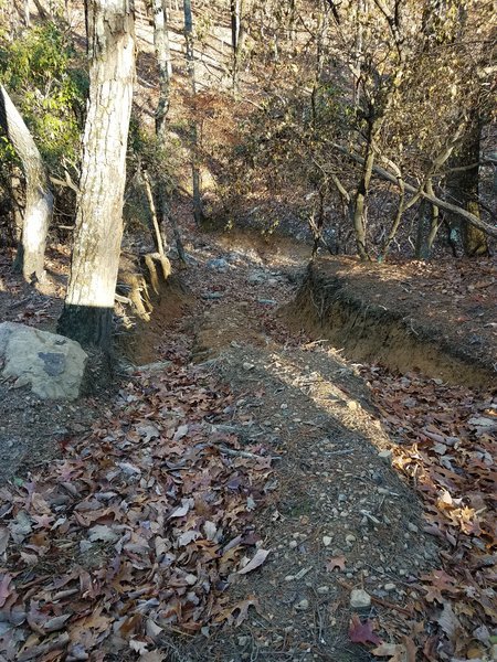 20161210_135022.jpg