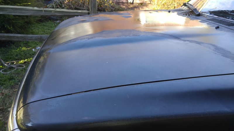 20161210_135649.jpg