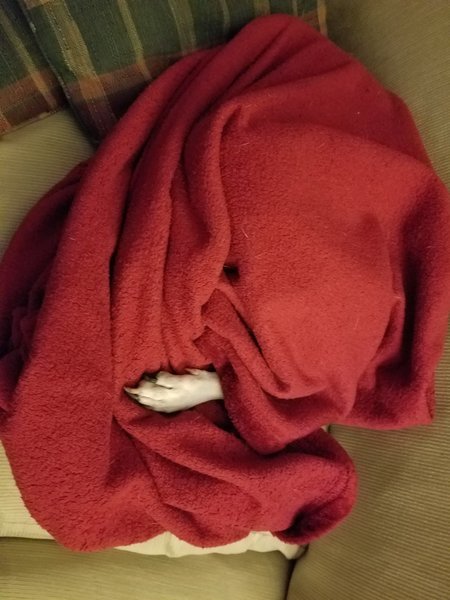 20161210_193132.jpg