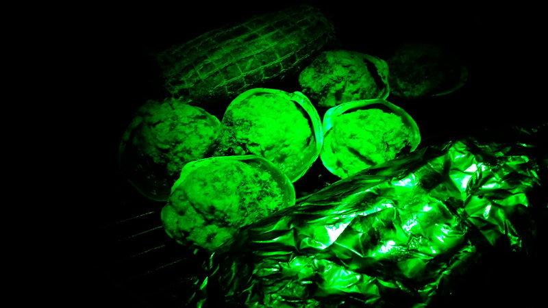 20161211_181835.jpg