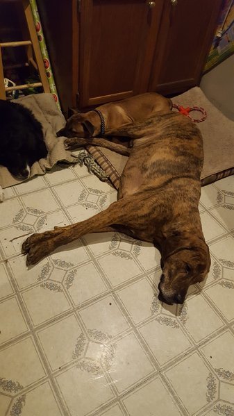 20161211_190855.jpg