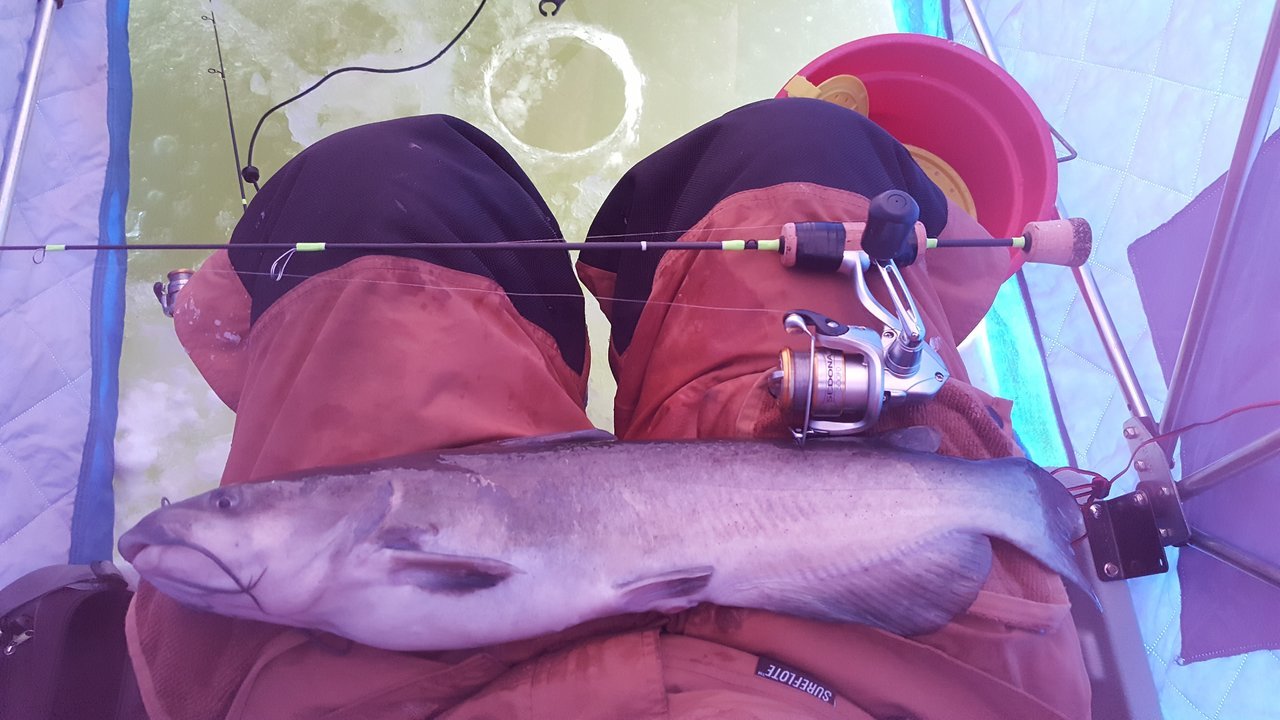20161213_112037.jpg