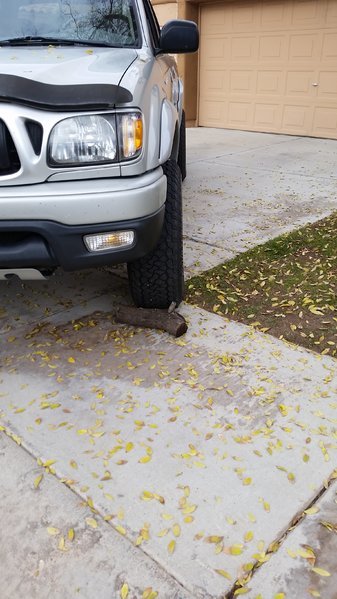 20161215_114340.jpg