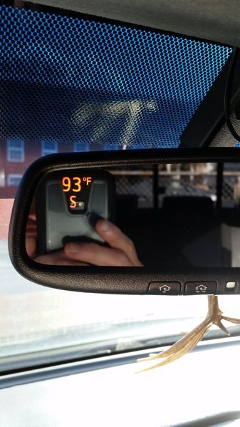 20161216_153021.jpg