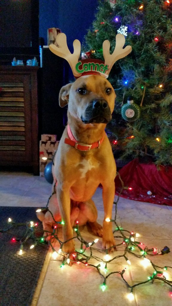 20161217_162544.jpg
