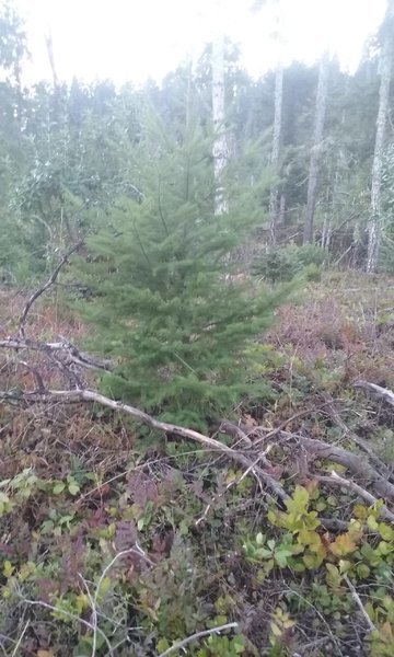 20161217_164007.jpg